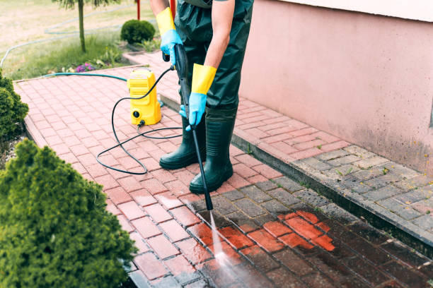 Best House Exterior Washing  in Frazee, MN