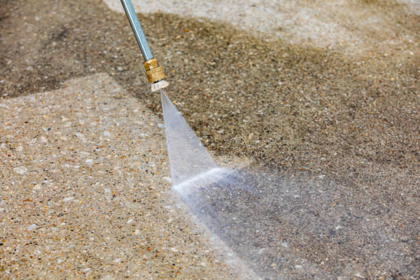Best Restaurant Pressure Washing  in Frazee, MN